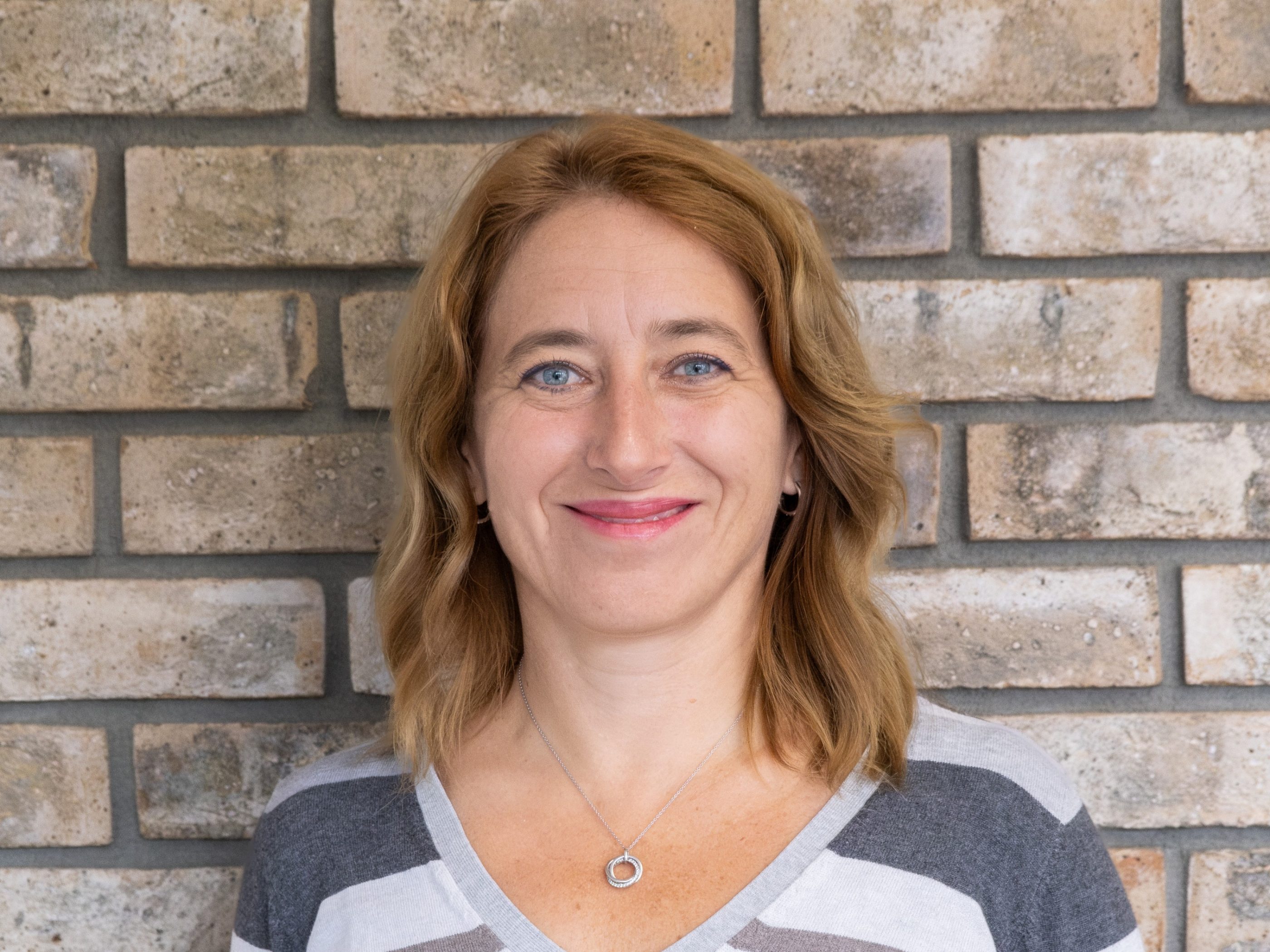 Specialista pro prodejí lícových cihel a obkladových pásků Terca a cihlové dlažby Penter