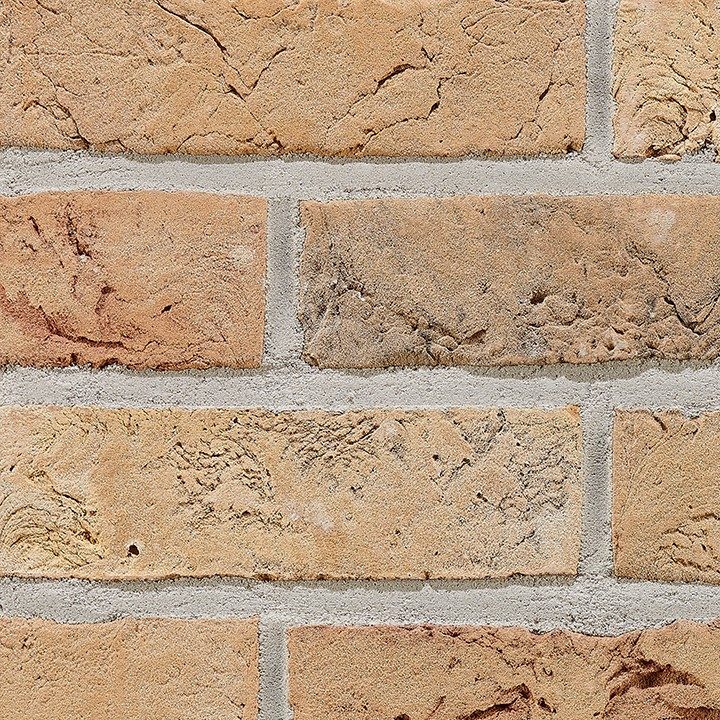 Fotografie Terca  Aurora NF | Lícová cihla a obkladový pásek ražené