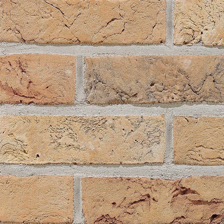 Fotografie Terca Aurora | Lícová cihla a obkladový pásek ražené