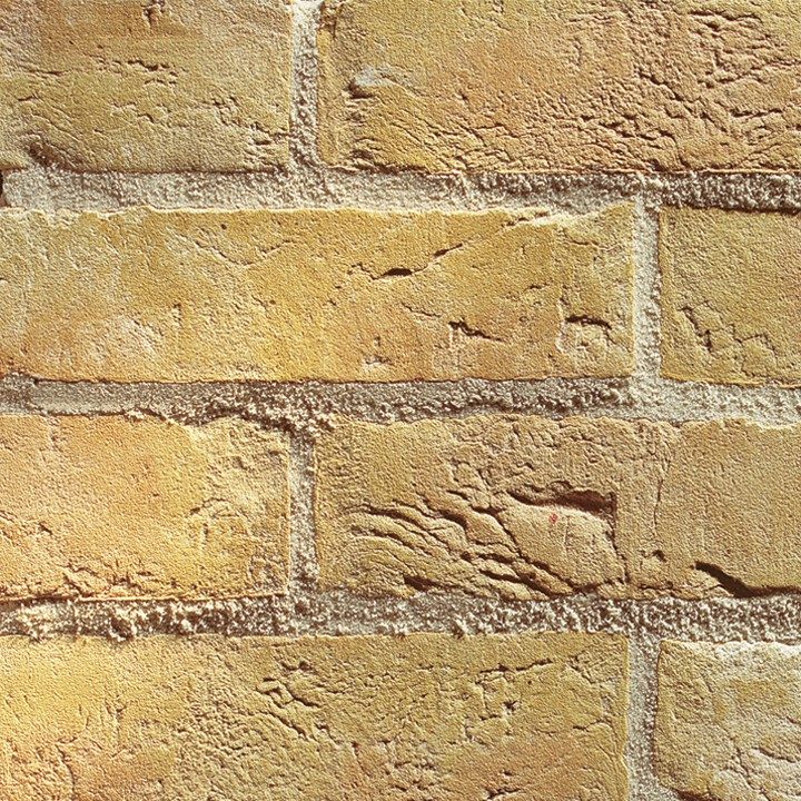 Fotografie Terca Corona | Lícová cihla a obkladový pásek ražené