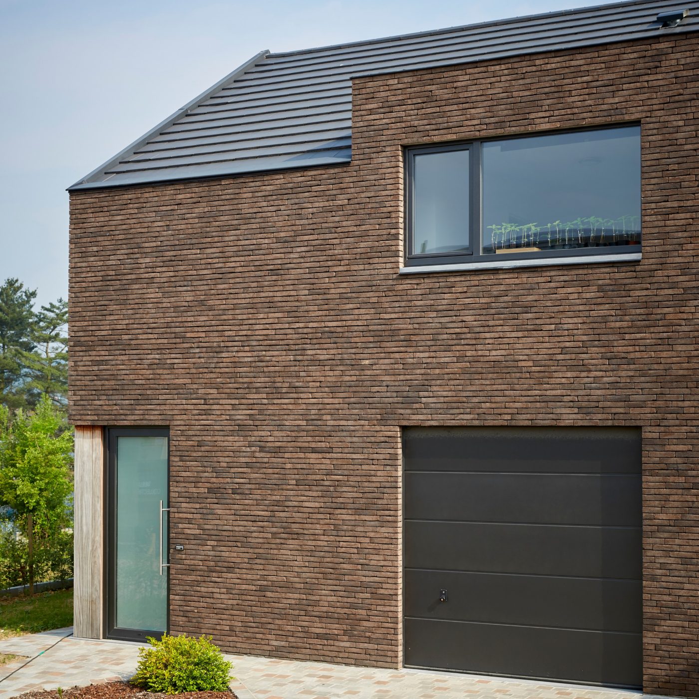 Terca Pagus Bruin Zwart | Reference lícové cihly Terca