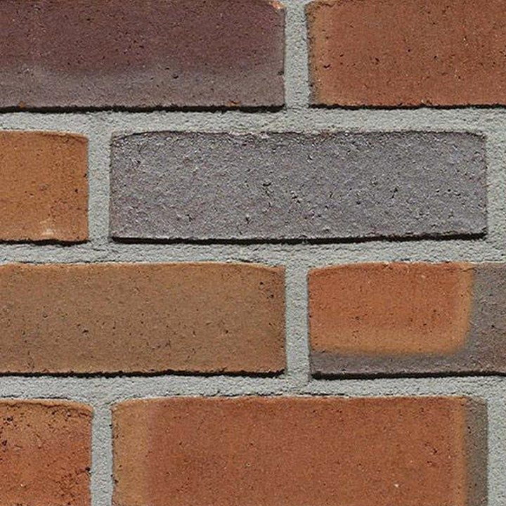 Fotografie Terca Passiebloem | Lícová cihla a obkladový pásek ražené